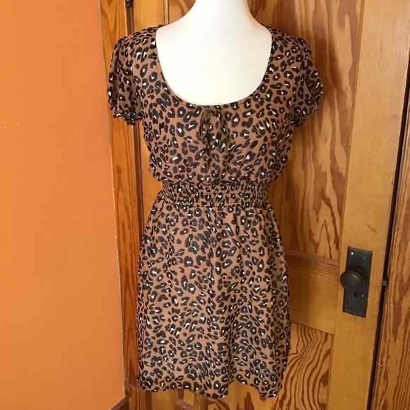 3 for 20 $ bundle Evolutionary Apparel Leopard Print Mini Dress - Picture 9 of 12